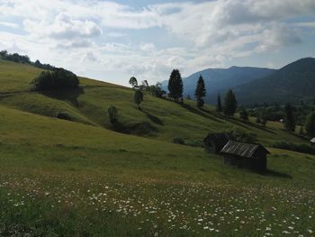 Scenic view of field against sky