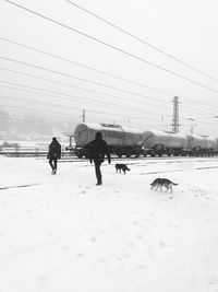 Horses on snow covered beach against sky