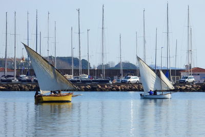 Sailboats moored on harbor against clear sky