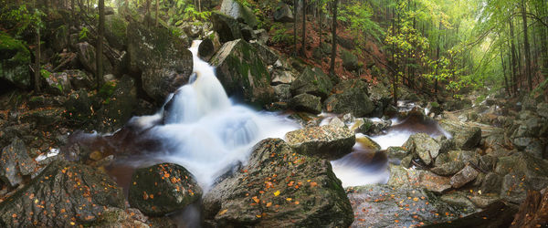 Scenic view of waterfall in forest