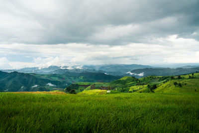 Scenic view of landscape against sky