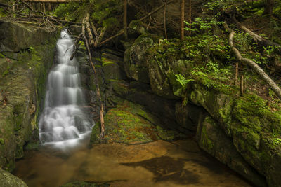 Waterfall in forest