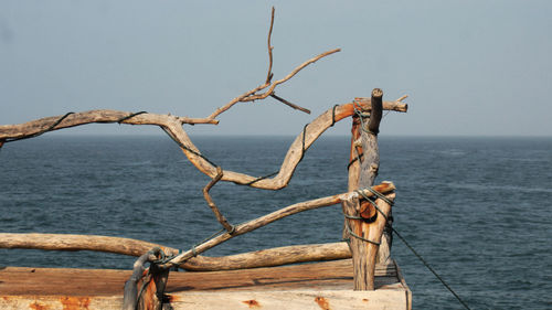 Close-up of sea against clear sky