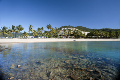 View of beautiful airlie beach, queensland, australia with its white sands fringed by tropical palms