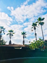 View of flowering plants against cloudy sky