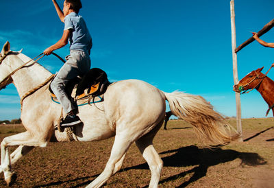 Speed horse race