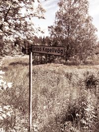 Information sign on grassy field