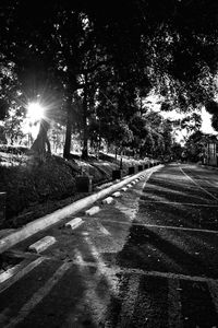 Road passing through trees at night