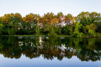 Reflection of trees in lake against clear sky