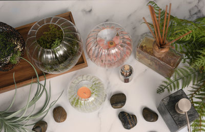 High angle view of potted plants on table