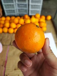 Close-up of hand holding orange