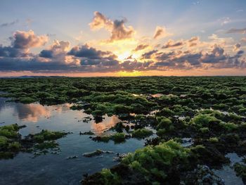 Scenic view of sea at sunset