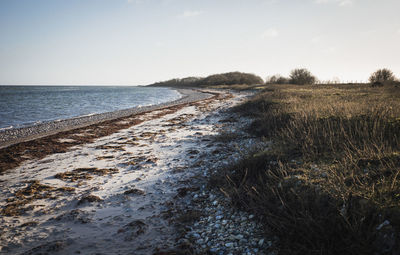 Scenic view of sea against clear sky