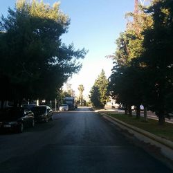 Road passing through trees