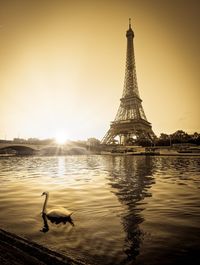 Swan swimming on lake against eiffel tower during sunset