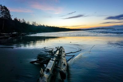 Scenic view of driftwood in lake against sky during sunset