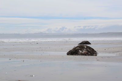 Scenic view of beach