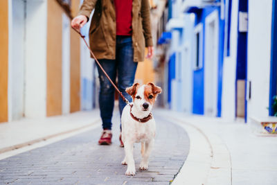 Low section of woman with dog walking on footpath