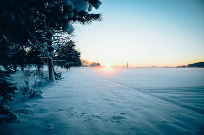 Scenic view of frozen sea against clear sky during winter