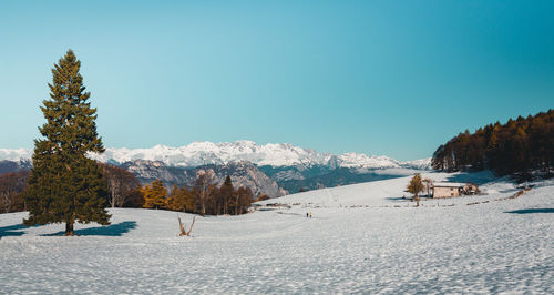 Scenic view of snow covered field against sky