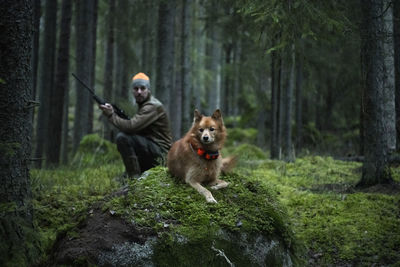 Hunting dog in forest, hunter in background