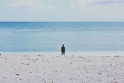 Rear view of man on beach against sky