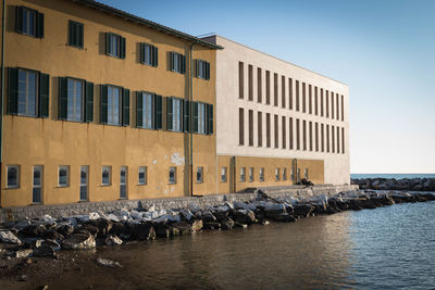 View of birds by buildings against sky