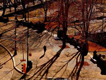 Bare trees in park