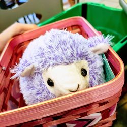 Close-up of stuffed toy