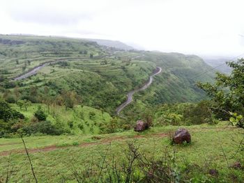 Scenic view of agricultural field