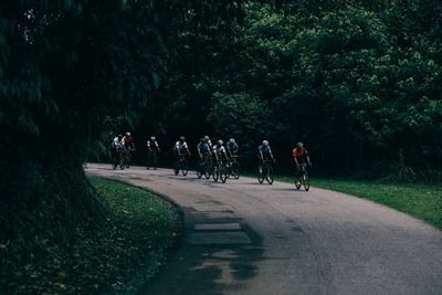 People on road against trees