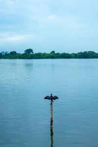 Scenic view of lake against sky