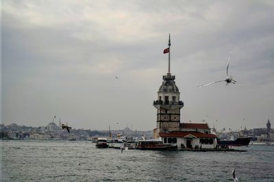 Maiden's tower among the seagulls