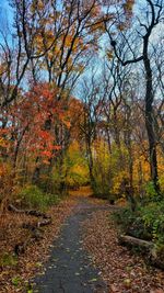 Road amidst trees during autumn