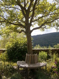 Chair and table against trees