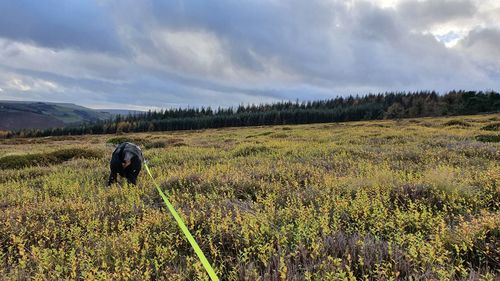 Rear view of man on field against sky