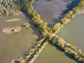 High angle view of trees by lake