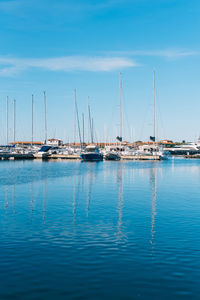 Sailboats in marina