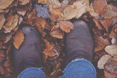 Low section of person with autumn leaves