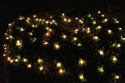 View of illuminated lights at night