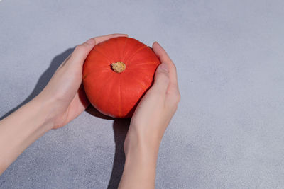 Female hands hold a small pumpkin on a gray background