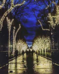 People walking in park at night