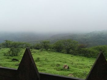 Scenic view of landscape against sky