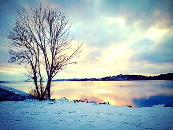 Scenic view of lake at sunset