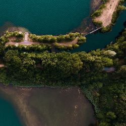 High angle view of plants by sea against building