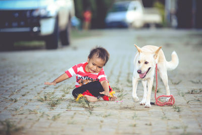 Boy playing with dog