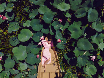 Beautiful young fashionable woman in a pink dress lies on a wooden boat among blooming lotuses