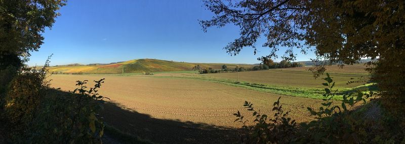 Panoramic view of agricultural field
