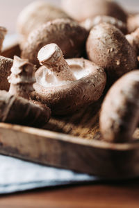 Close-up of mushrooms on table