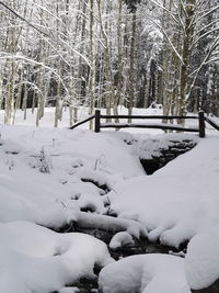 Snow covered bare trees